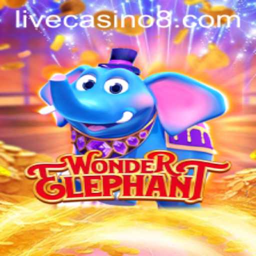 Discover the Exciting World of WonderElephant at Livecasino.io